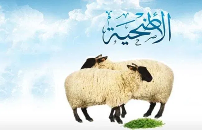 ما حكم من يملك ثمن الاضحية ولم يضحي