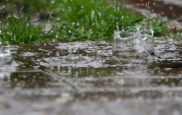 تفسير حلم نزول المطر بغزارة للعزباء في النهار