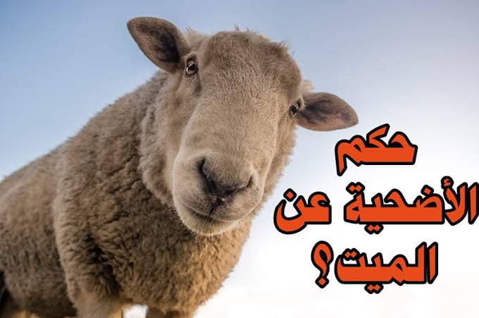 ما حكم من يملك ثمن الاضحية ولم يضحي