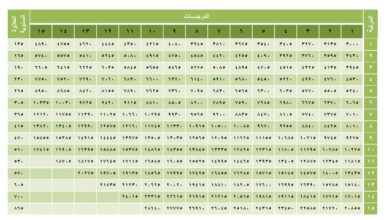 وزارة العمل السعودية تطلق سلم رواتب الموظفين الجديد