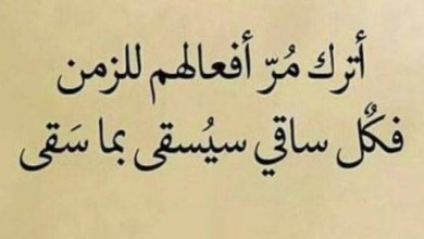 بوستات للواتس جميلة جدًا +15 حالة جميلة للواتس