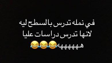 نكت تونسية بليدة مكتوبة